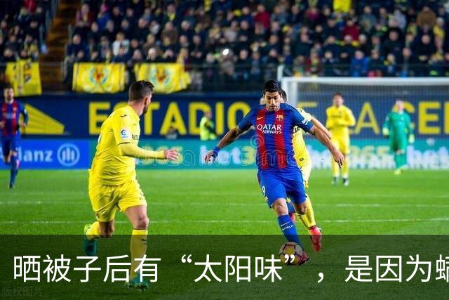 晒被子后有“太阳味”，是因为螨虫被烤焦了？科学家：太阳的功劳